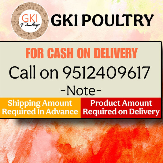 GKI Chick Drinker 5 Litre Semi Automatic-Free Delivery
