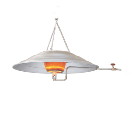 Gas Brooder 4000 Chicks Capacity -Free Delivery