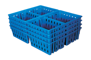 GKI Chick Transportation Cage-Free Delivery