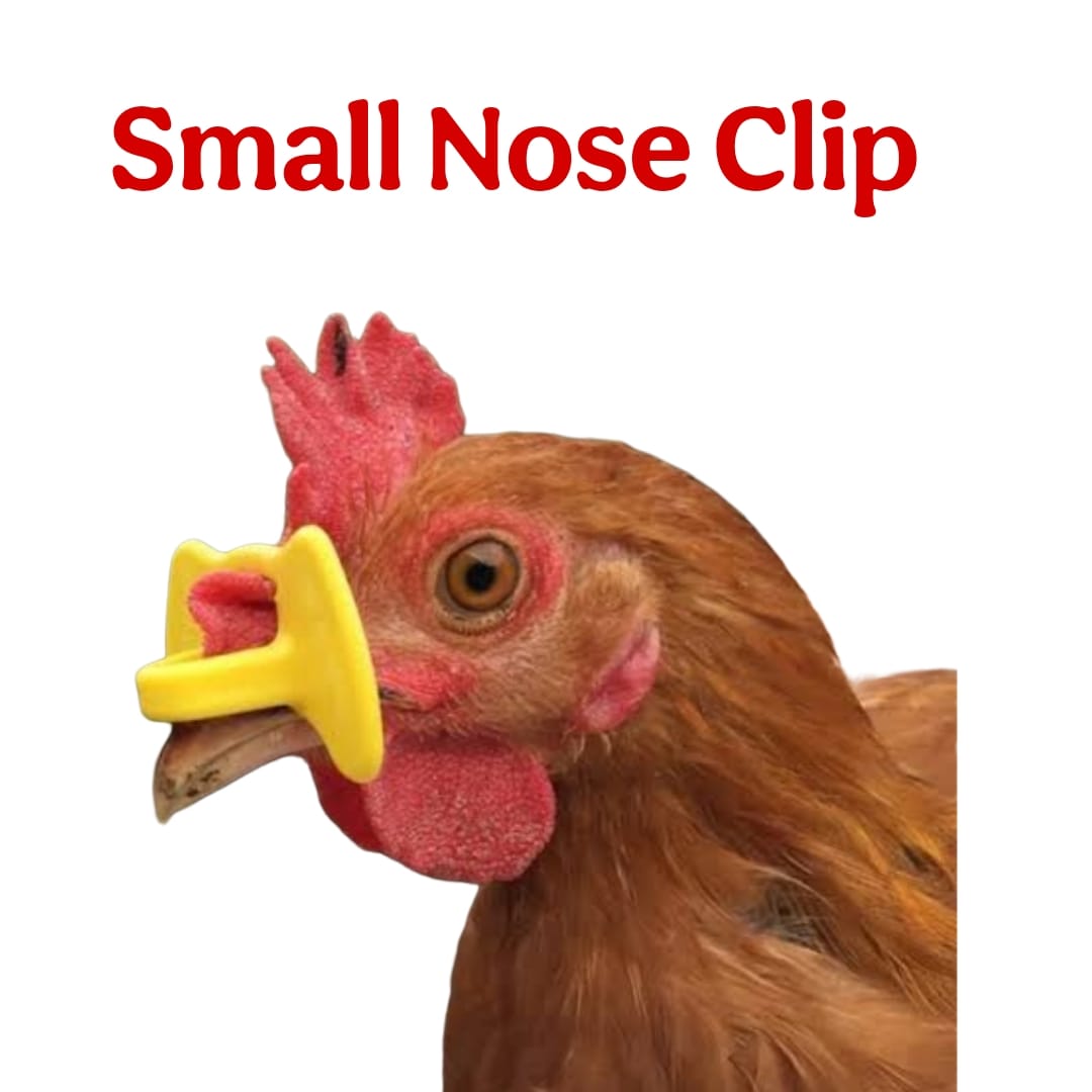 Small Nose Clip (Pack of 100) - Free Delivery