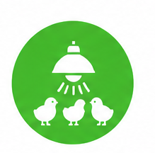 poultrymartindia.com